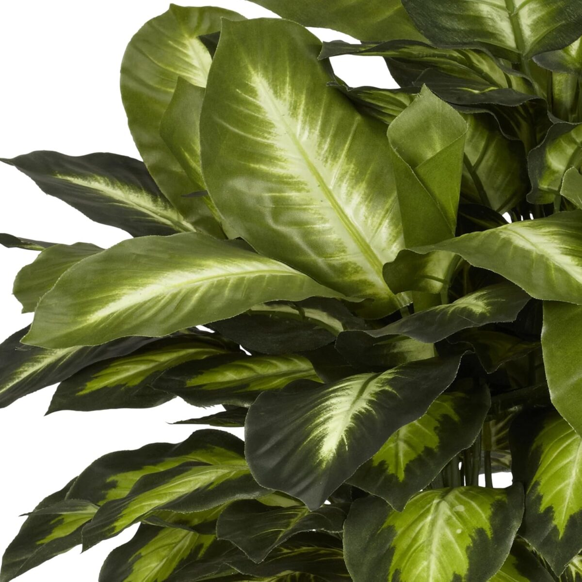 Nearly Natural 6639 24in. Golden Dieffenbachia Silk Plant, Green - Image 6