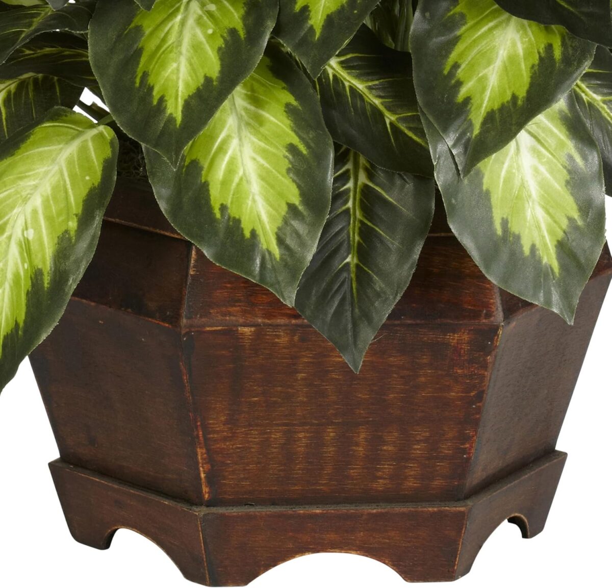 Nearly Natural 6639 24in. Golden Dieffenbachia Silk Plant, Green - Image 7