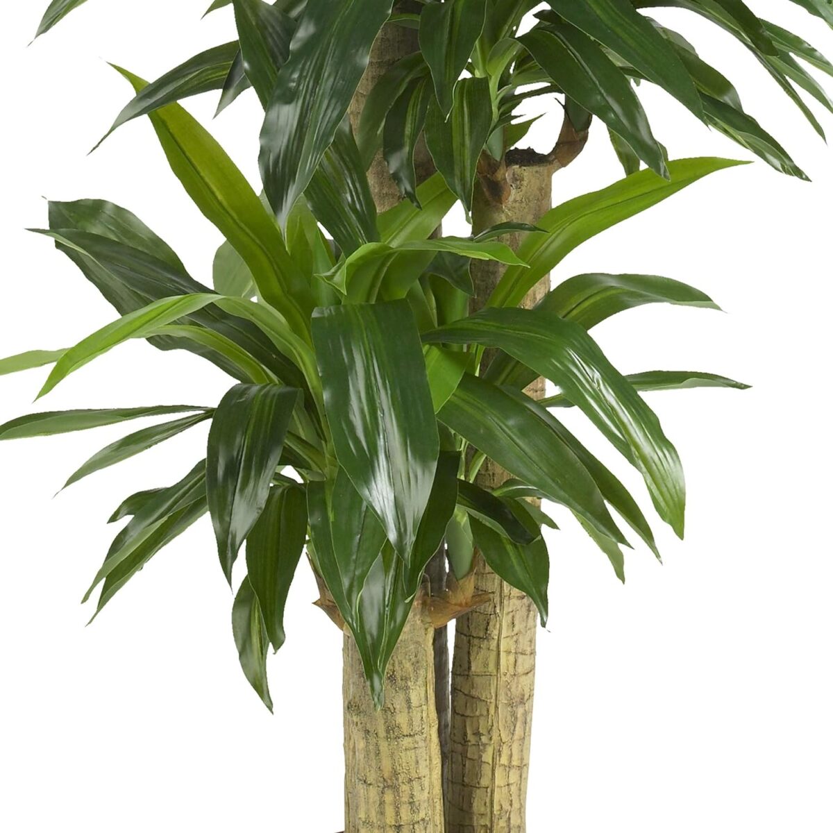 Nearly Natural 62IN Artificial Corn Stalk Dracaena Plant, Tall Fake Plant for Indoor Home Décor, Real Touch Faux Plant - Image 5