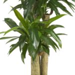 Nearly Natural 62IN Artificial Corn Stalk Dracaena Plant, Tall Fake Plant for Indoor Home Décor, Real Touch Faux Plant - Image 5