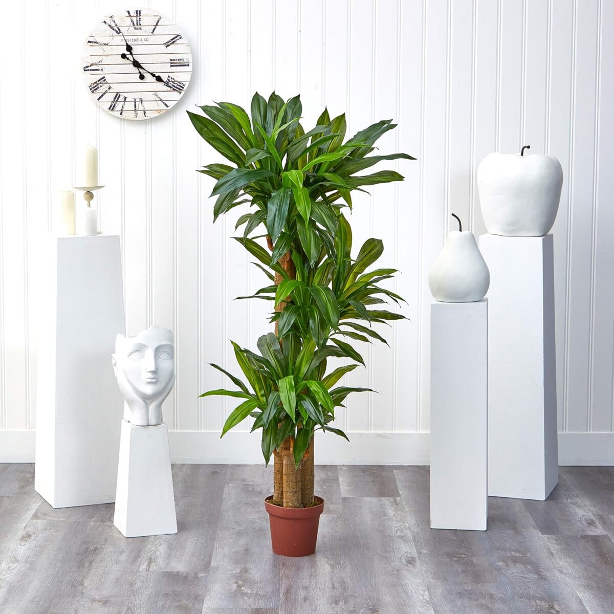 Nearly Natural 62IN Artificial Corn Stalk Dracaena Plant, Tall Fake Plant for Indoor Home Décor, Real Touch Faux Plant - Image 6