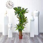 Nearly Natural 62IN Artificial Corn Stalk Dracaena Plant, Tall Fake Plant for Indoor Home Décor, Real Touch Faux Plant - Image 6