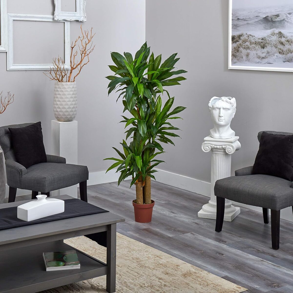 Nearly Natural 62IN Artificial Corn Stalk Dracaena Plant, Tall Fake Plant for Indoor Home Décor, Real Touch Faux Plant - Image 7