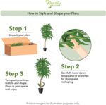 Nearly Natural 62IN Artificial Corn Stalk Dracaena Plant, Tall Fake Plant for Indoor Home Décor, Real Touch Faux Plant - Image 8