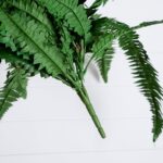 Nearly Natural 48-in Artificial Boston Fern, Set of 2, Large Hanging Fake Plant Wall Decor with 67 Fronds, Faux Fern Vines that Look Real for Home and Office Decor - Image 4
