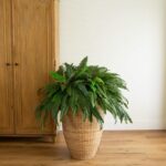 Nearly Natural 48-in Artificial Boston Fern, Set of 2, Large Hanging Fake Plant Wall Decor with 67 Fronds, Faux Fern Vines that Look Real for Home and Office Decor - Image 5