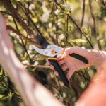 Fiskars Bypass Pruning Shears, 5/8-Inch Cut Capacity Garden Clippers, Gardening Scissors with Sharp, Rust Resistant Steel Blade - Image 12