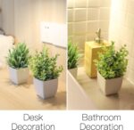 Der Rose 2 Pack Small Fake Plants Mini Artificial Potted Plants for Table Desk Home Bathroom Office Decor - Image 5