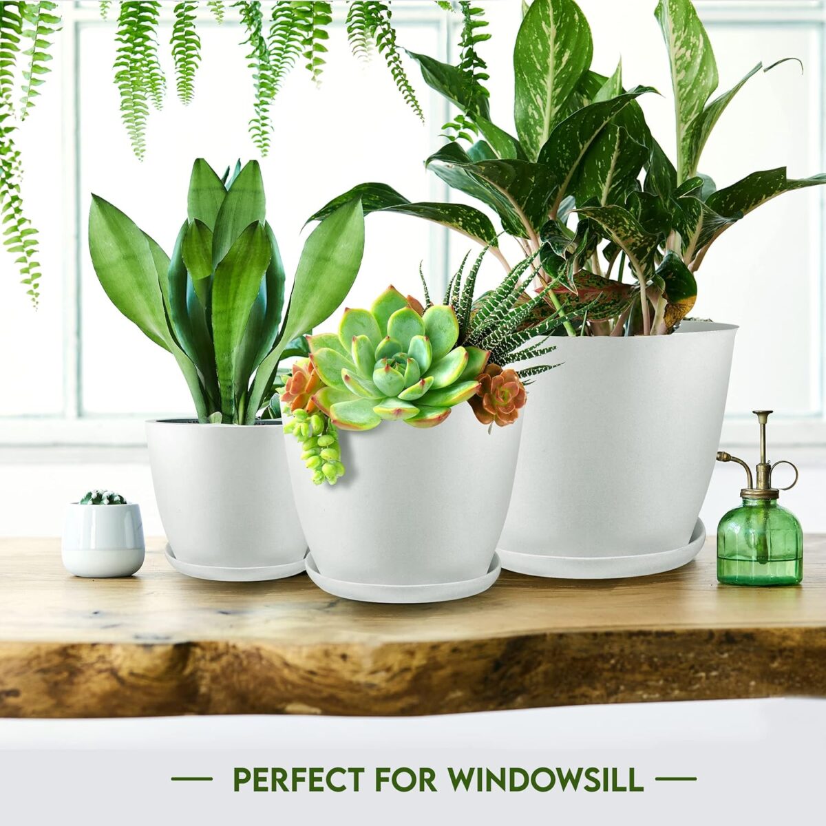 Utopia Home - Plant Pots Indoor with Drainage - 7/6.6/6/5.3/4.8 Inches Garden Flower Pots for Indoor Planter - 5 Pack White Plastic Planters - Ideal for Stocking Stuffers or Room, Office Home Decor - Image 7