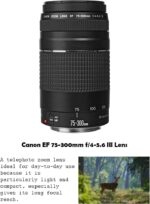 Canon EOS Rebel T7 DSLR Camera Bundle with Canon EF-S 18-55mm f/3.5-5.6 is II Lens + Canon EF 75-300mm f/4-5.6 III Lens + 2pc SanDisk 32GB Memory Cards + Accessory Kit (Renewed) - Image 4