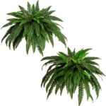 Nearly Natural 48-in Artificial Boston Fern, Set of 2, Large Hanging Fake Plant Wall Decor with 67 Fronds, Faux Fern Vines that Look Real for Home and Office Decor - Image 2