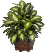 Nearly Natural 6639 24in. Golden Dieffenbachia Silk Plant, Green - Image 2