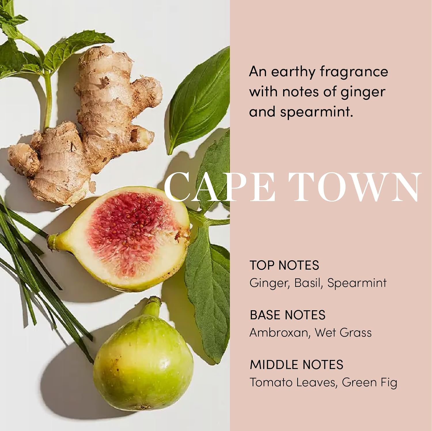 OUAI Scalp Serum - Balancing Hair Serum with Red Clover Extract, Siberian Ginseng and Peptides for Thicker and Fuller-Looking Hair - Paraben, Phthalate and Sulfate Free Scalp Care (2 Fl Oz) - Image 7