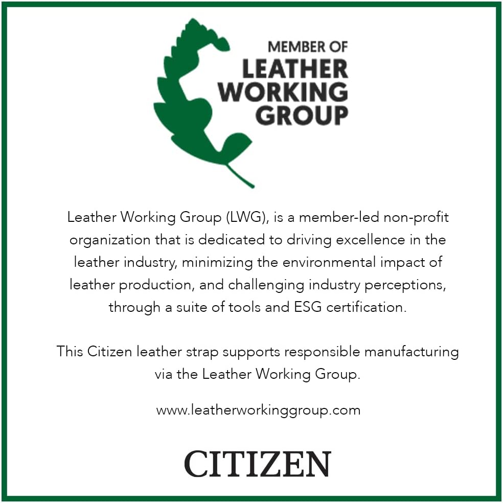 Citizen Ladies' Eco-Drive Classic Leather Strap Watch with 3-Hand Date - Image 3