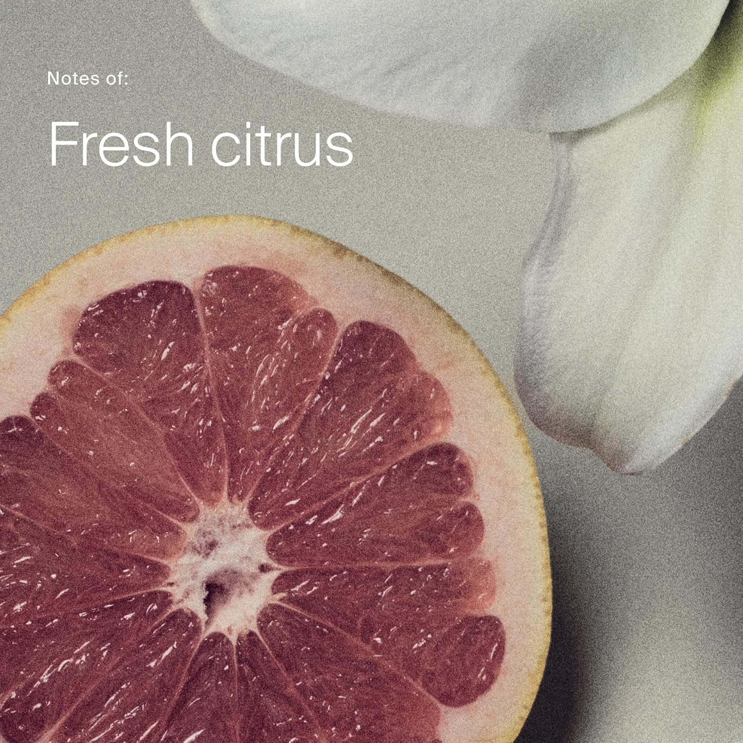 Living Proof Perfect Hair Day Dry Shampoo – Absorbs Oil, Sweat, Odor, Cleans Hair, Fresh Scent, Detoxifies Scalp for Women and Men - Image 8