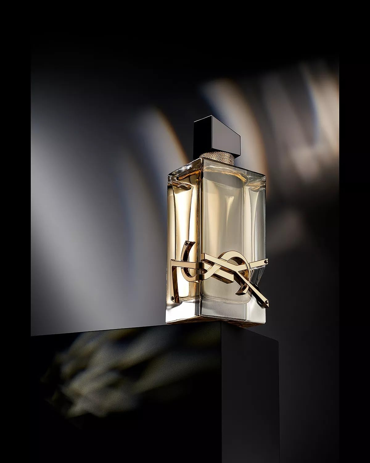 YSL Libre for Women Eau de Parfum Spray, 3.0 Ounce - Image 4